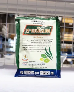 มดงานสามช่า6