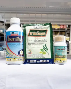 มดงาน สามช่า