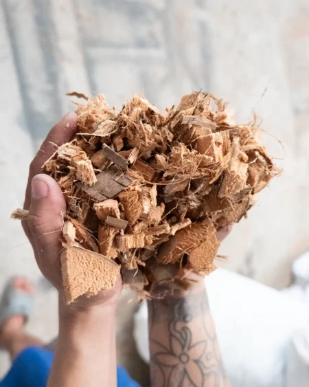 มะพร้าวสับ