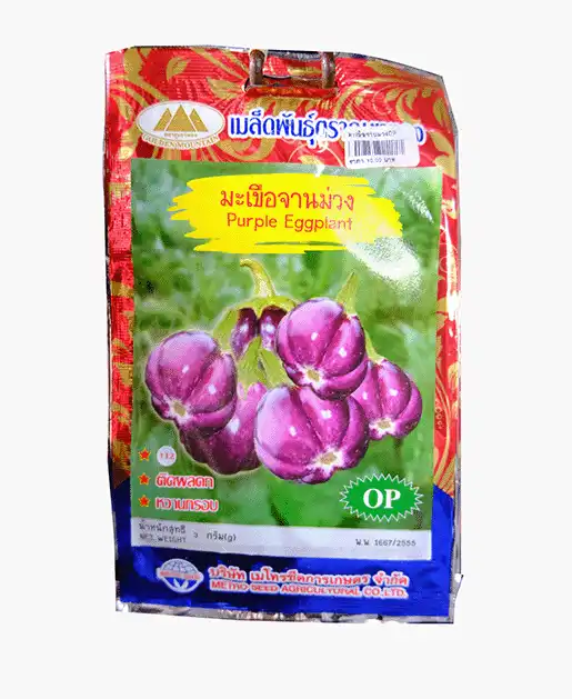 เมล็ดพันธุ์มะเขือจานม่วง-Purple-Eggplant-ตราภูเขาทอง-หน้าซองแสดงรูปผลมะเขือทรงจานสีม่วงเข้มสดใส-ติดผลดกสวยงาม