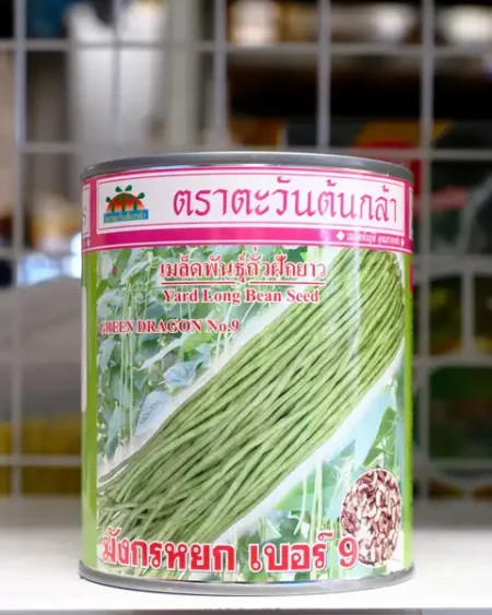 ถั่วฝักยาว