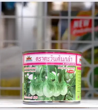 มะเขือเปราะ