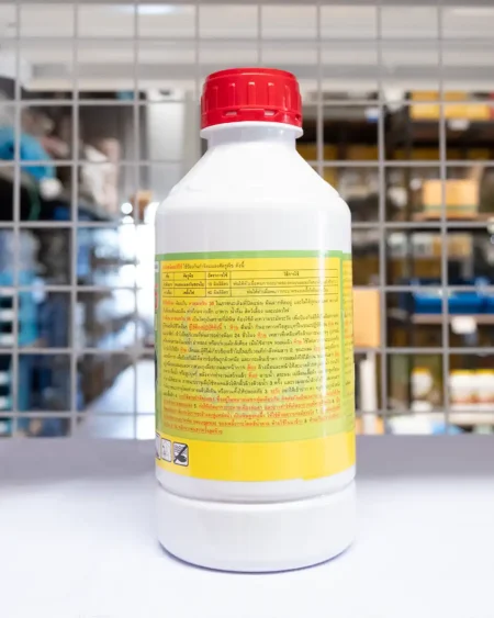 ลาสเมทริน1