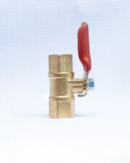 วาล์วทองเหลือง เมียเมีย2