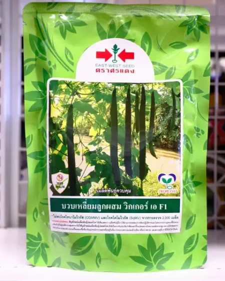 บวบเหลี่ยม