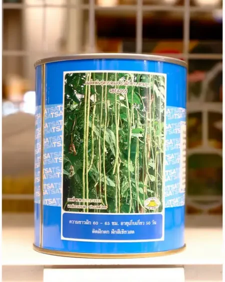 ถั่วฝักยาว