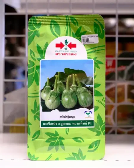 มะเขือเปราะ