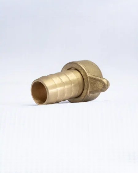 หางปลาไหลทองเลือง