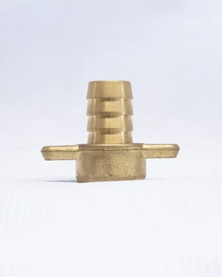 หางปลาไหลทองเลือง1