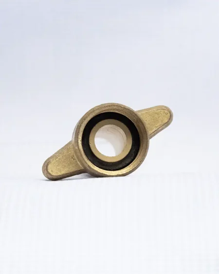 หางปลาไหลทองเลือง2