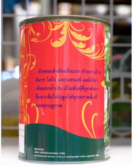 อาลาดิน1