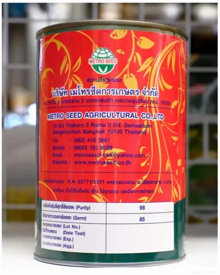 อาลาดิน2