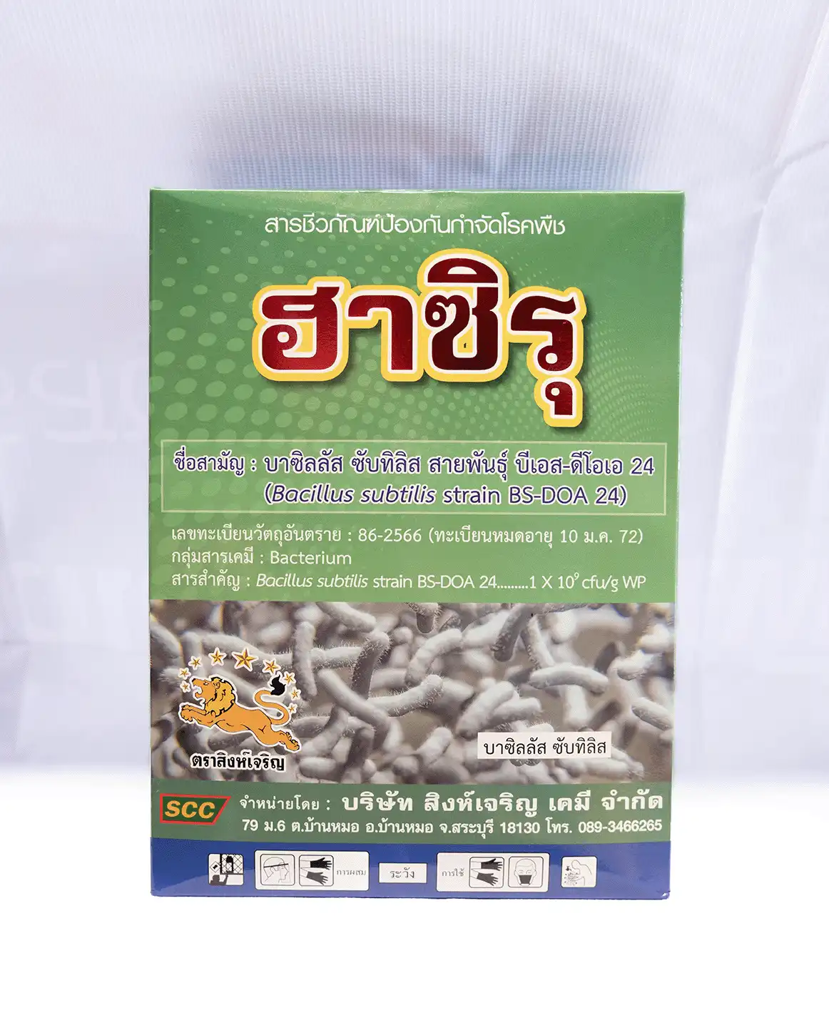 บาซิลลัส ซับทิลิส