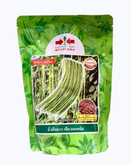 ถั่วฝักยาว