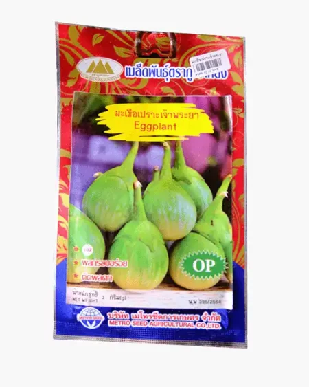 ซองเมล็ดพันธุ์มะเขือเปราะเจ้าพระยา-Thai-Eggplant-ตราภูเขาทอง-หน้าซองแสดงรูปผลมะเขือทรงกลมสีเขียวอ่อนมีลายทางสีขาว-ขั้วยาว-ติดผลดก-รสหวานกรอบ