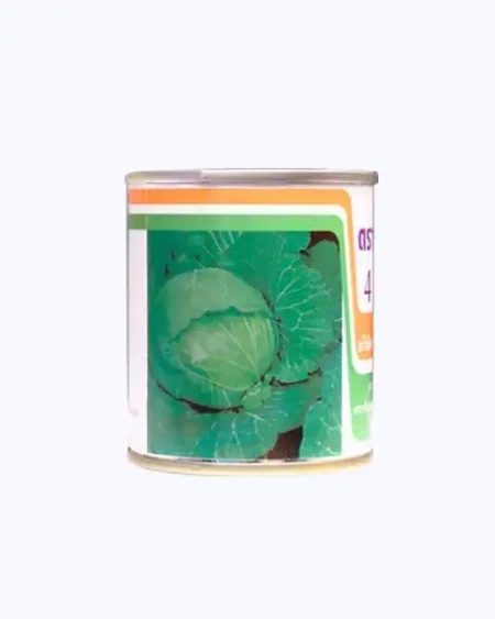 กะหล่ำปลี