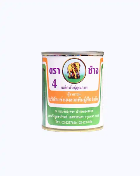 กะหล่ำปลี ตราช้าง 4 หัวแน่น ใบเขียวสด ปลูกง่าย ให้ผลผลิตดี - Image 3