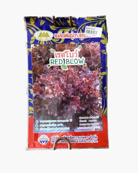 เมล็ดพันธุ์เรดโบว์-Red-Blow-ตราภูเขาทอง-หน้าซองแสดงรูปผักสลัดใบสีแดงม่วงเข้มพุ่มสวย-เมล็ดพันธุ์คุณภาพดี