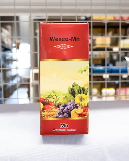 เวสโก้ เเมงกานีส1