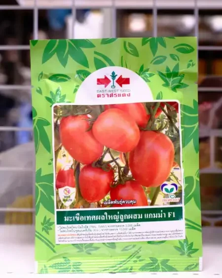 มะเขือเทศ