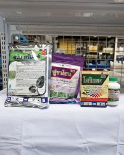 โคริแบคเพาเวอร์