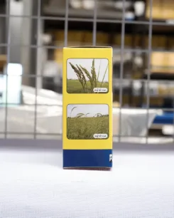 โคริแบคเพาเวอร์6