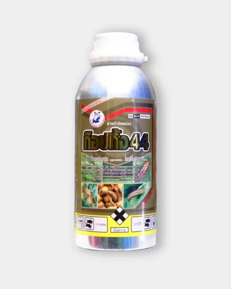 ก๊อปก๊้ง