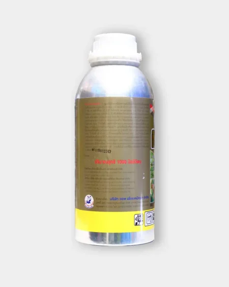 ก๊อปกิ้ง2