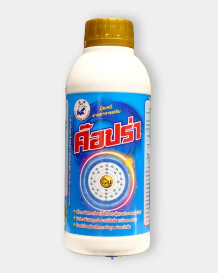 ค๊อปร่า