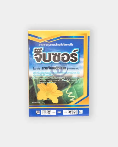 จิ๊บซอร์