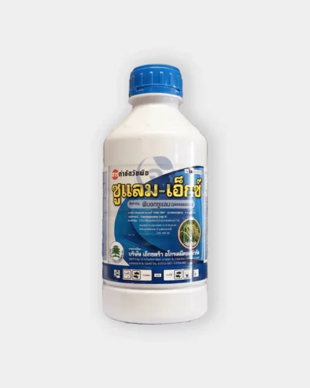 ซูแลม-เอ็กซ์