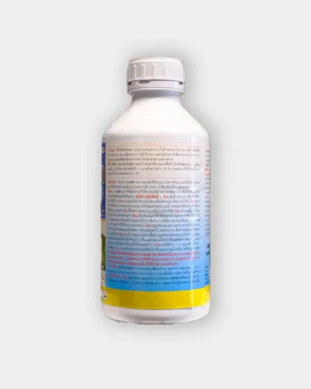 บาเลต้า1