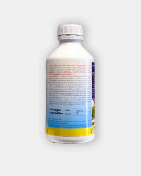 บาเลต้า2