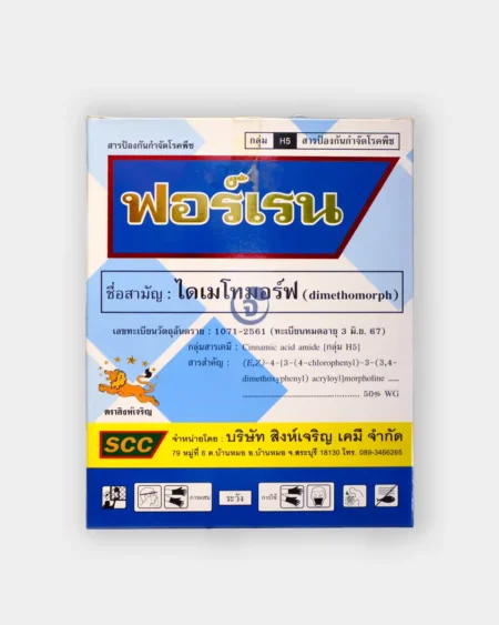 ฟอร์เรน