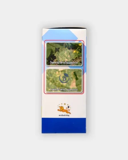 ฟอร์เรน2