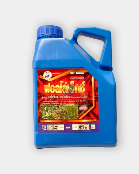 ฟอลโล่เอ็กซ์