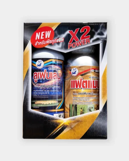 ฟาสเตอร์