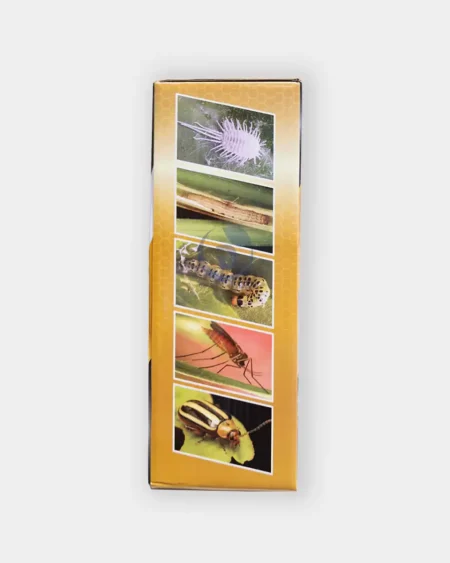 ฟาสเตอร์1