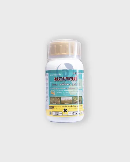 มดงานสามช่า5