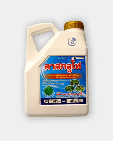 ลาสกลูโฟ