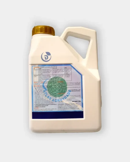 ลาสกลูโฟ1