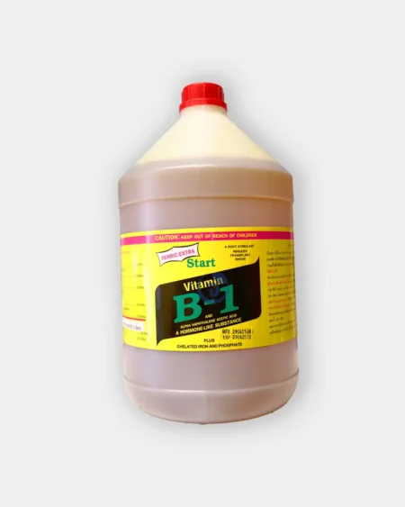 วิตามิน B1