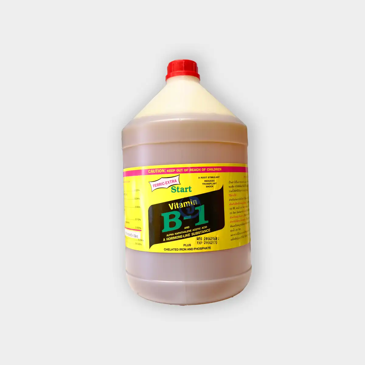 วิตามิน B1