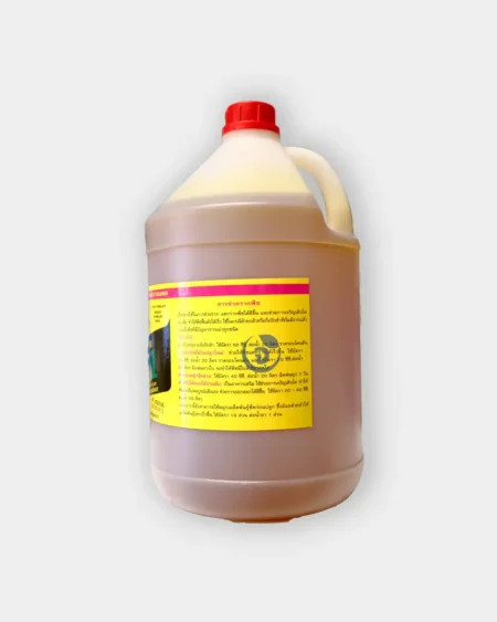 วินตามินB11