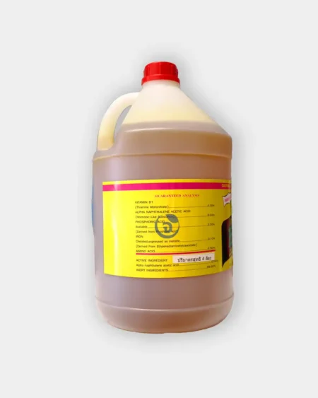 วินตามินB12