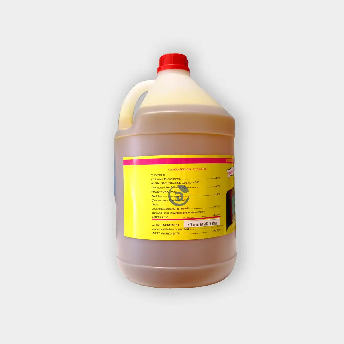 วิตามิน B1 - Image 5