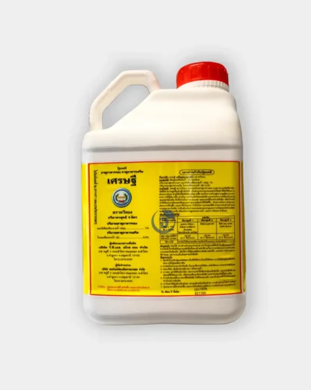 หวีทอง น้ำขาว2