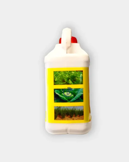 หวีทอง น้ำขาว3