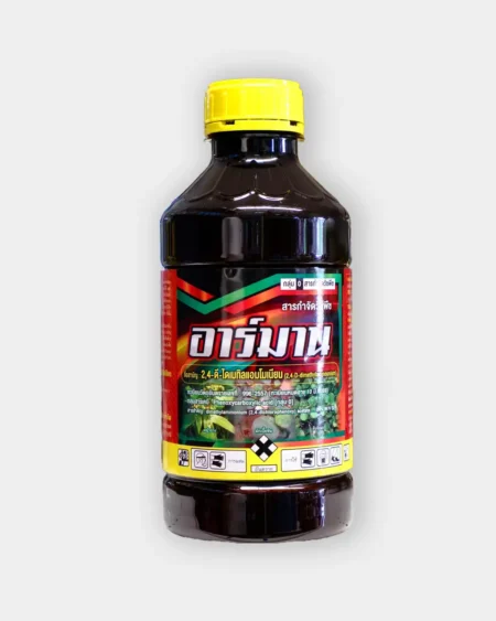 อาร์มาน