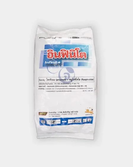 อินฟินิโต